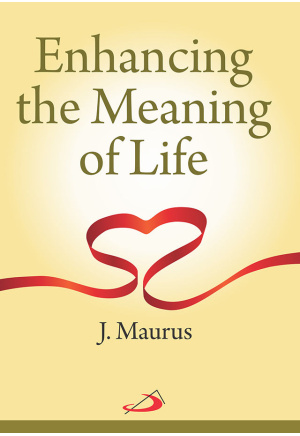 Enhancing the Meaning of Life