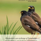 Inspirational Quote June back Cover