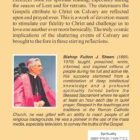 Seven Last Words back cover