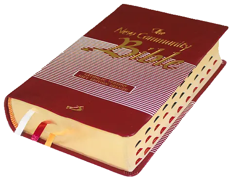 New Community Bible Pocket Edition Leather PU Thumb Index Golden Edge Red