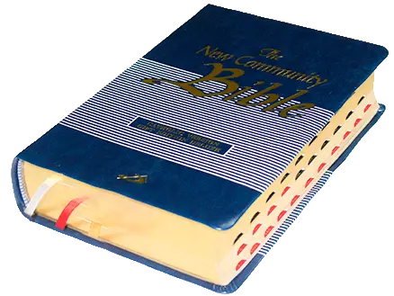 New Community Bible Standard Edition Leather PU Thumb Index Golden Edge Blue