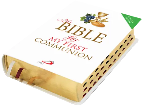 New Community Bible Standard Edition Leather PU Thumb Index Golden Edge Communion Special