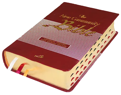 New Community Bible Standard Edition Leather PU Thumb Index Golden Edge Red