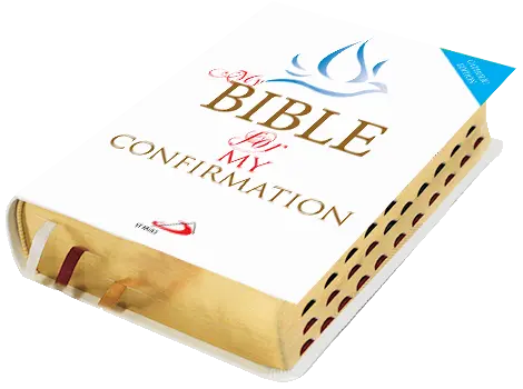 New Community Bible Standard Edition Thumb Index Golden Edge Hardbound Confirmation Special