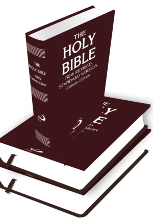 The Holy Bible NRSV 2025 Mockup