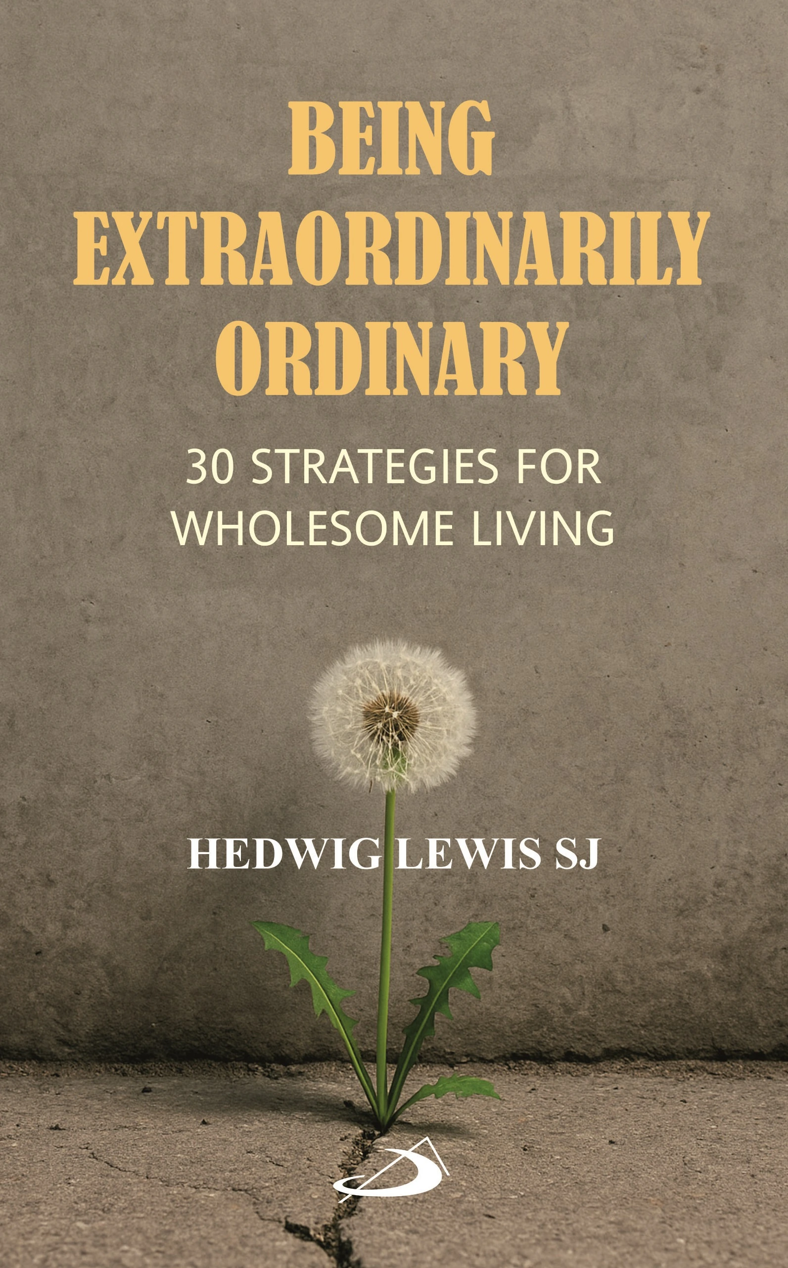 Being Exraordinarily Ordinary front cover