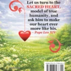 My Daily Gospel 2027 back cover